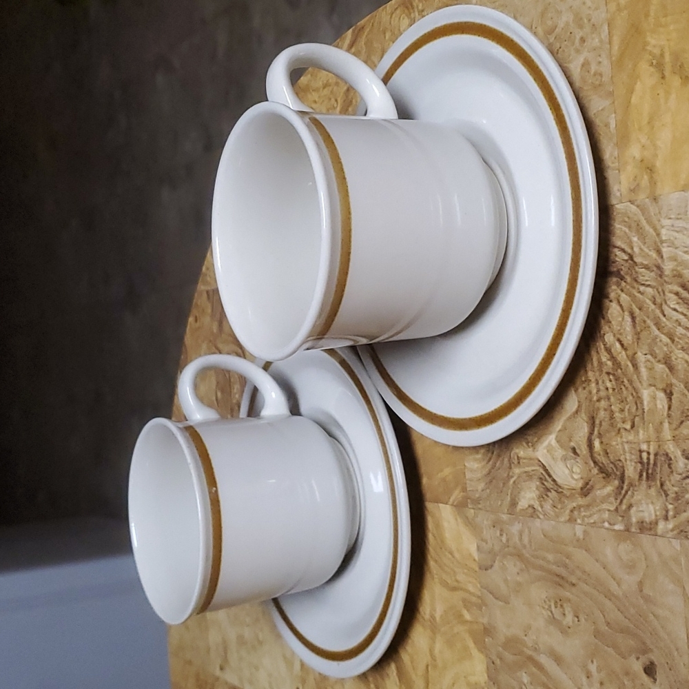 49. Trellis Blossom by MOUNTAIN WOOD-2 Flat Cups/Saucers-Stoneware-Japan-EC